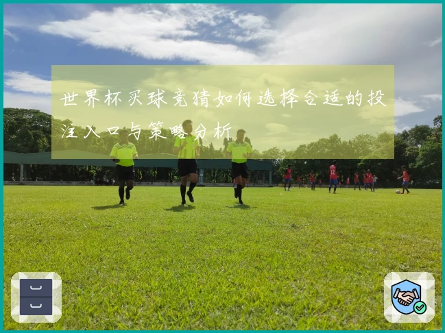 世界杯买球竞猜如何选择合适的投注入口与策略分析