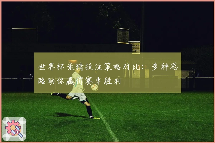 世界杯竞猜投注策略对比：多种思路助你赢得赛季胜利
