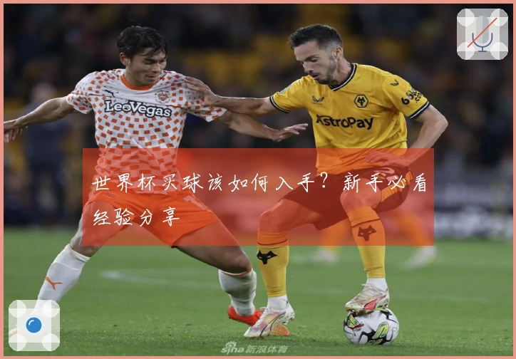 世界杯买球该如何入手?新手必看经验分享