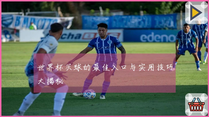 世界杯买球的最佳入口与实用技巧大揭秘