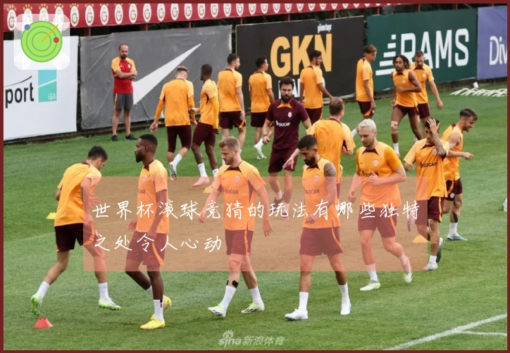 世界杯滚球竞猜的玩法有哪些独特之处令人心动