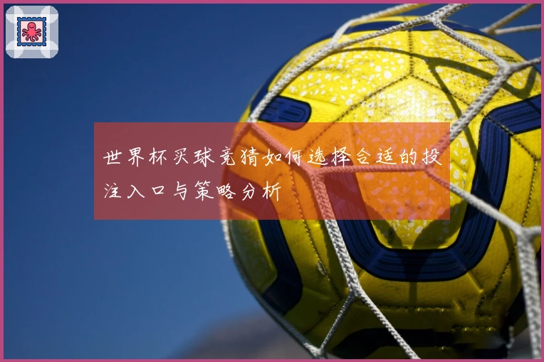 世界杯买球竞猜如何选择合适的投注入口与策略分析