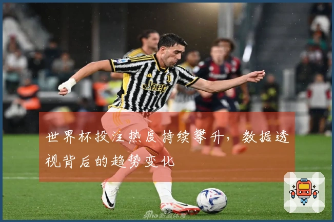 世界杯投注热度持续攀升,数据透视背后的趋势变化