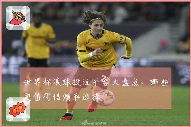 世界杯滚球投注平台大盘点，哪些更值得信赖和选择