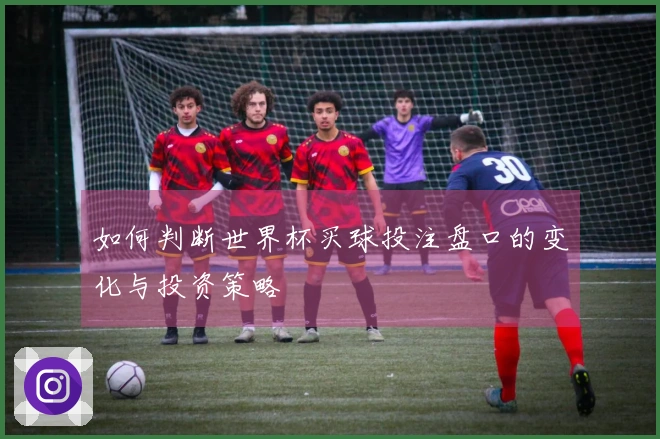 如何判断世界杯买球投注盘口的变化与投资策略