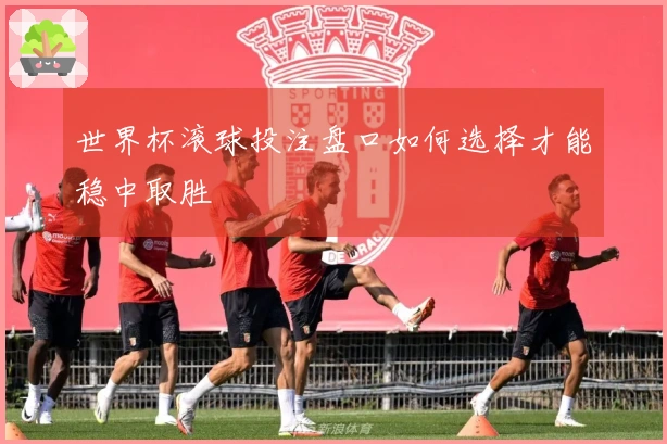 世界杯滚球投注盘口如何选择才能稳中取胜