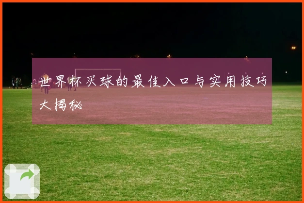 世界杯买球的最佳入口与实用技巧大揭秘