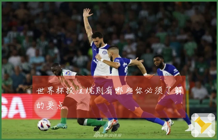 世界杯投注规则有哪些你必须了解的要点