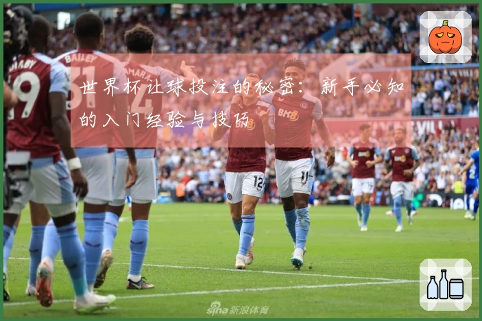 世界杯让球投注的秘密：新手必知的入门经验与技巧