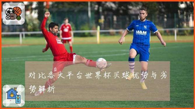 对比各大平台世界杯买球优势与劣势解析