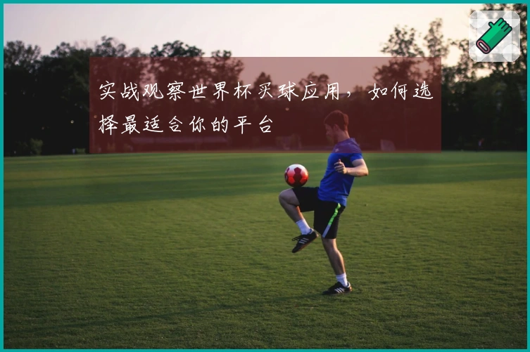 实战观察世界杯买球应用，如何选择最适合你的平台