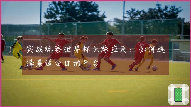 实战观察世界杯买球应用，如何选择最适合你的平台