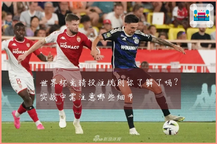 世界杯竞猜投注规则你了解了吗？实战中需注意哪些细节