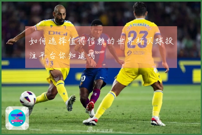 如何选择值得信赖的世界杯买球投注平台你知道吗