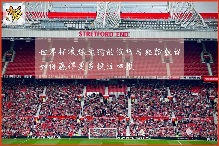 世界杯滚球竞猜的技巧与经验教你如何赢得更多投注回报