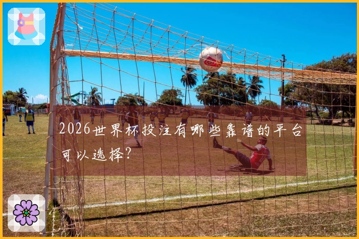 2026世界杯投注有哪些靠谱的平台可以选择？