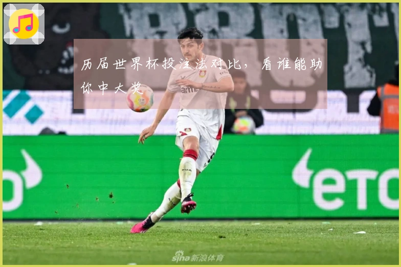 历届世界杯投注法对比,看谁能助你中大奖