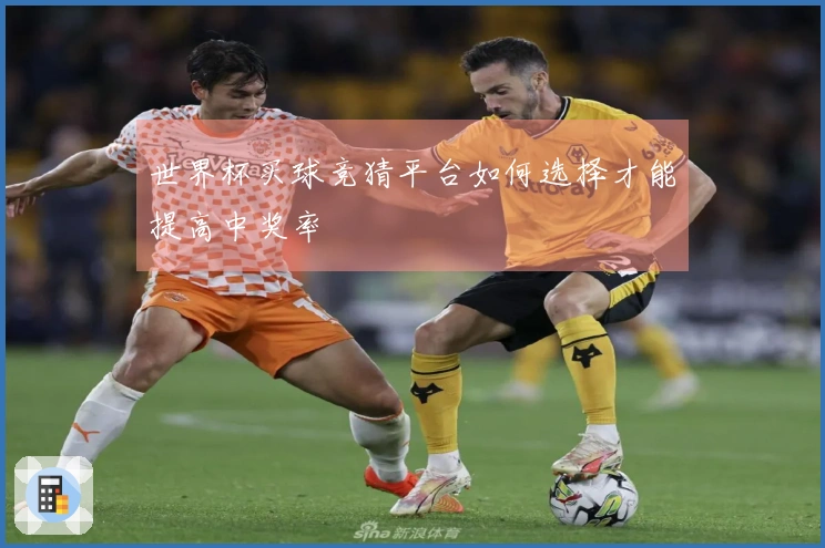 世界杯买球竞猜平台如何选择才能提高中奖率