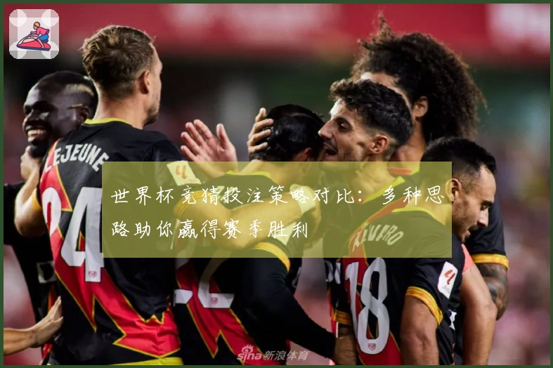 世界杯竞猜投注策略对比：多种思路助你赢得赛季胜利
