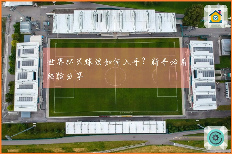 世界杯买球该如何入手？新手必看经验分享